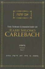 Torah Commentary of Rabbi Shlomo Carlebach