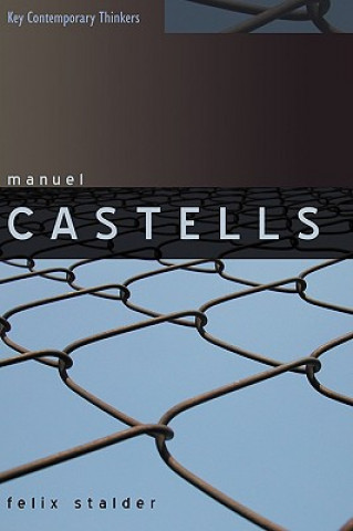 Manuel Castells - The Theory of Network Society