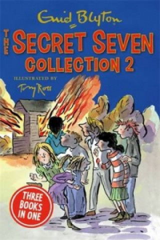 Secret Seven Collection 2