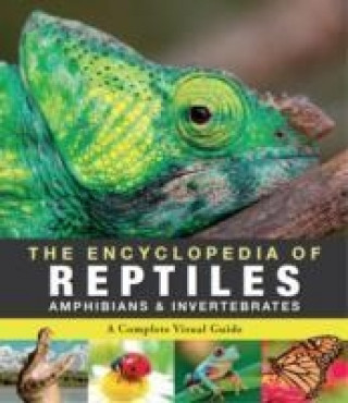 Encyclopedia of Animals - Reptiles