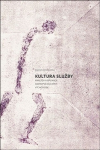 Kultura služby