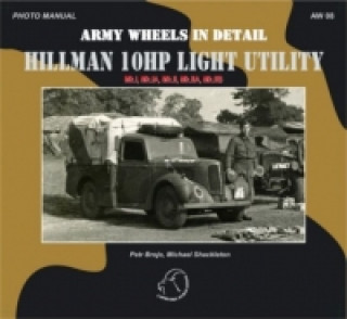 AW 08 - Hillman 10HP Light Utility