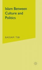 Islam Between Culture and Politics