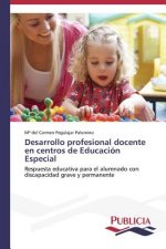Desarrollo profesional docente en centros de Educacion Especial