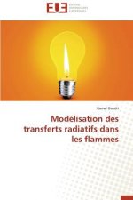 Mod lisation Des Transferts Radiatifs Dans Les Flammes