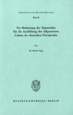 Die Bedeutung des Naturrechts für die Ausbildung der Allgemeinen Lehren des deutschen Privatrechts.