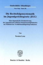 Die Rechtsfolgensystematik im Jugendgerichtsgesetz (JGG).