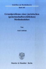Grundprobleme einer juristischen (gemeinschaftsrechtlichen) Methodenlehre