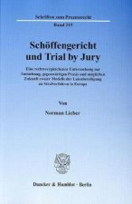 Schöffengericht und Trial by Jury