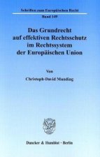 Das Grundrecht auf effektiven Rechtsschutz im Rechtssystem der Europäischen Union