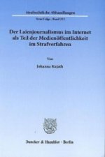 Der Laienjournalismus im Internet als Teil der Medienöffentlichkeit im Strafverfahren.