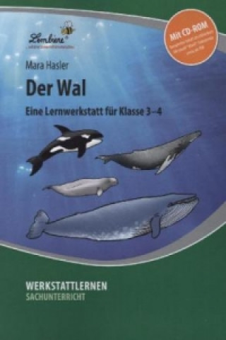 Der Wal, m. CD-ROM
