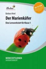 Der Marienkäfer, m. 1 CD-ROM