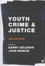 Youth Crime and Justice