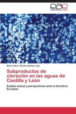 Subproductos de cloracion en las aguas de Castilla y Leon