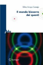 Bizzarro Mondo Dei Quanti