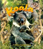 Life Cycle of a Koala