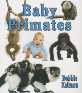 Baby Primates
