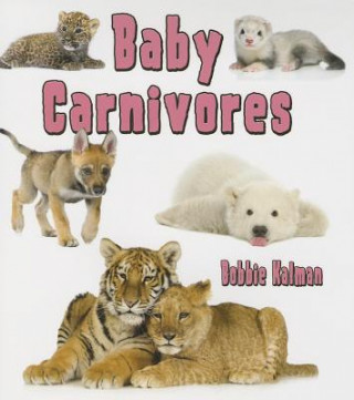 Baby Carnivores