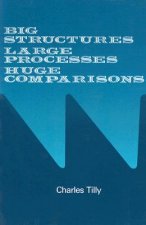 Big Structures, Large Processes, Huge Comparisons