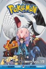 Pokemon Black and White, Vol. 19