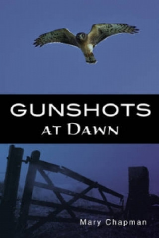 Gunshots at Dawn