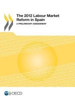 2012 labour market reform in Spain