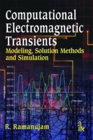 Computational Electromagnetic Transients