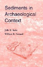 Sediments In Archaeological Context