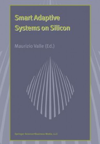 Smart Adaptive Systems on Silicon