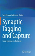 Synaptic Tagging and Capture