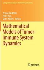 Mathematical Models of Tumor-Immune System Dynamics, 1