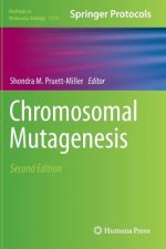 Chromosomal Mutagenesis