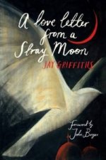 Love Letter from a Stray Moon