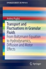 Transport and Fluctuations in Granular Fluids