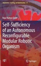 Self-Sufficiency of an Autonomous Reconfigurable Modular Robotic Organism