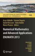Numerical Mathematics and Advanced  Applications - ENUMATH 2013
