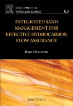 Integrated Sand Management For Effective Hydrocarbon Flow Assurance