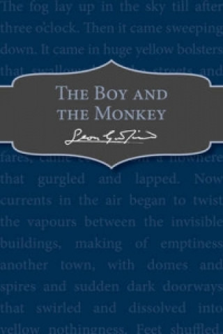 Boy and the Monkey