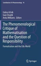 Phenomenological Critique of Mathematisation and the Question of Responsibility