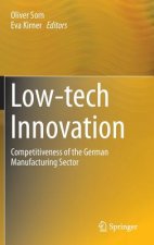 Low-tech Innovation