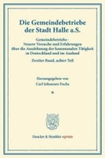 Die Gemeindebetriebe der Stadt Halle a.S.. Bd.2, Tl.8