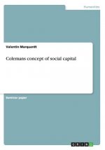 Colemans concept of social capital