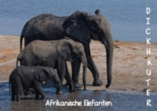 Dickhäuter - Afrikanische Elefanten (Posterbuch DIN A4 quer)