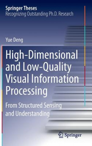 High-Dimensional and Low-Quality Visual Information Processing
