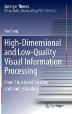 High-Dimensional and Low-Quality Visual Information Processing