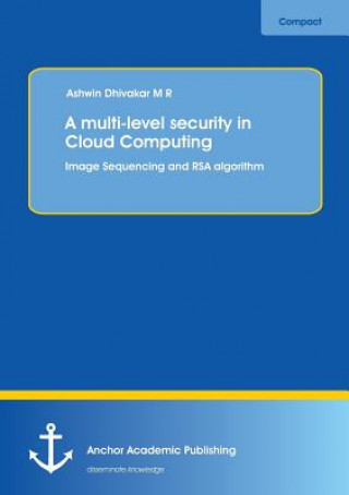 Multi-Level Security in Cloud Computing
