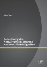 Reduzierung der Netzverluste im Rahmen von Investitionstatigkeiten