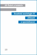 Soudobá sociologie VI.