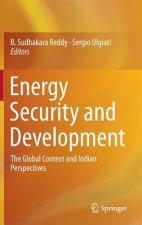 Energy Security and Development